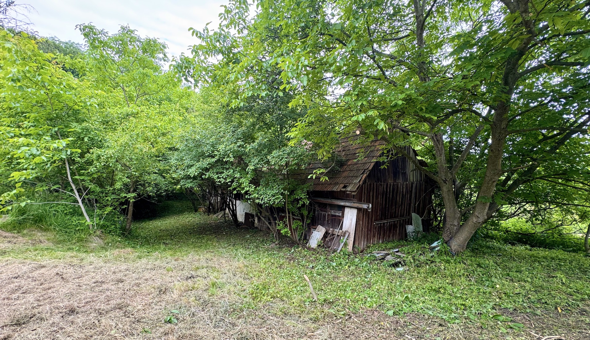 bz-immobilien